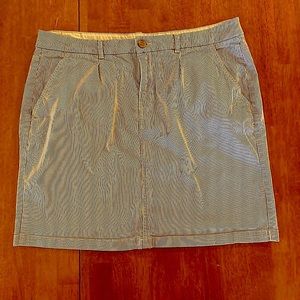 Blue & White Pinstripe Short Skirt